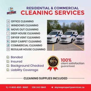 skyrex cleaners