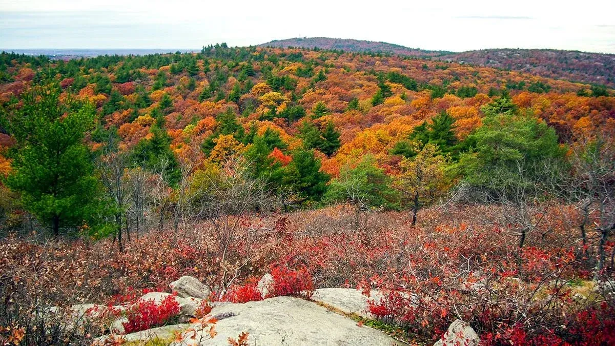 Blue Hills Reservation, Boston