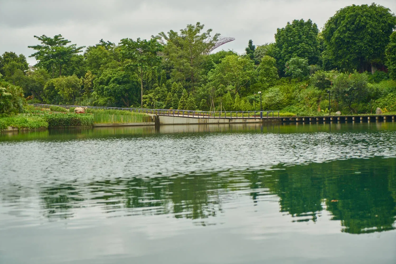 Neponset River Greenway, Boston, MA