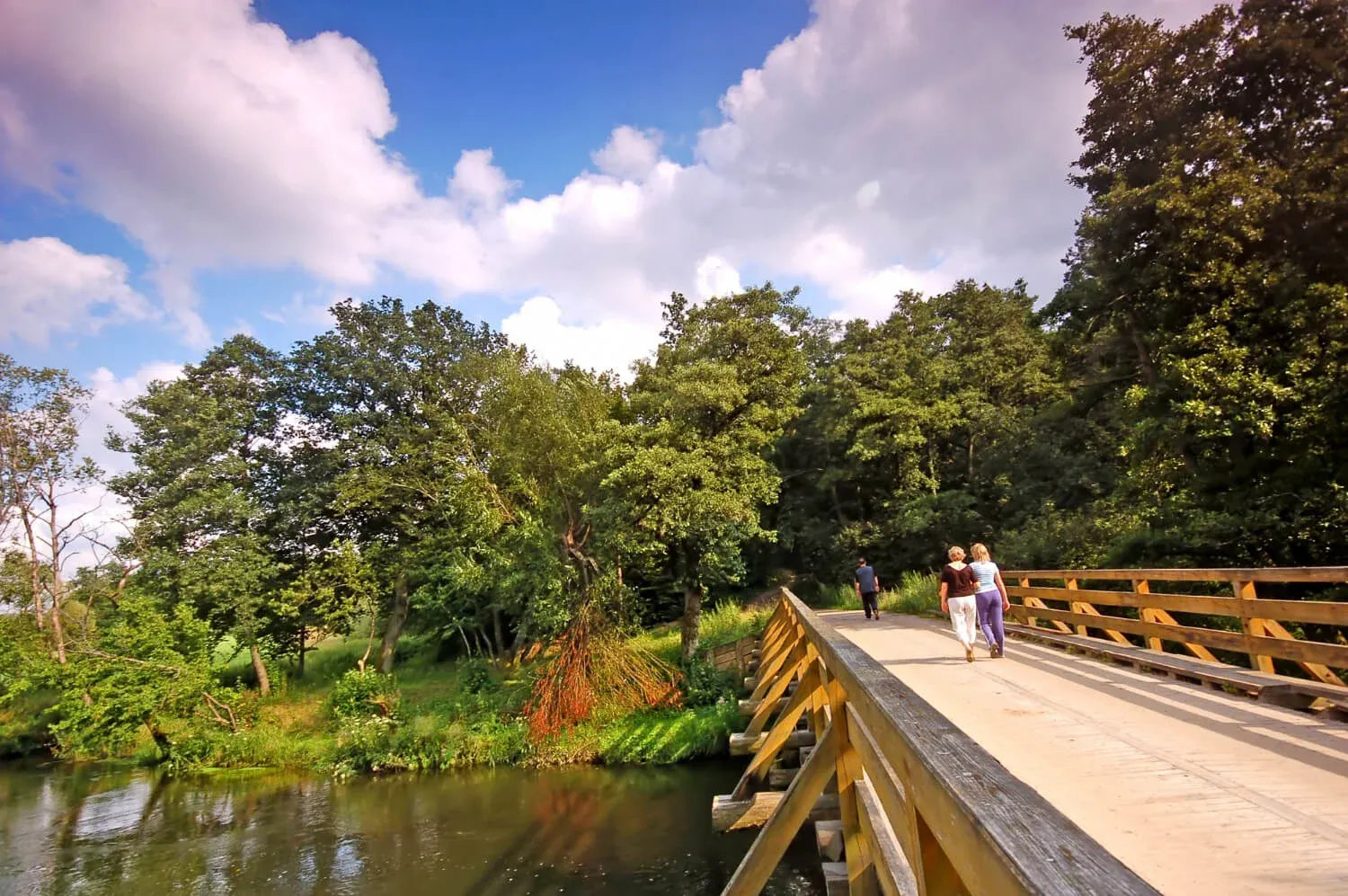 The Charles River Bike Path, Boston