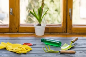 Eco friendly cleaners in Boston by SKYREX Property Services