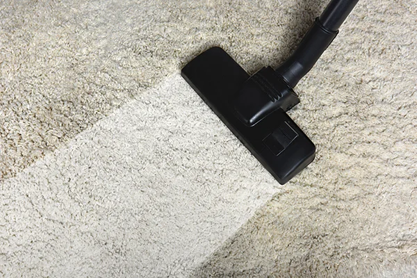 SKYREX Carpet cleaning