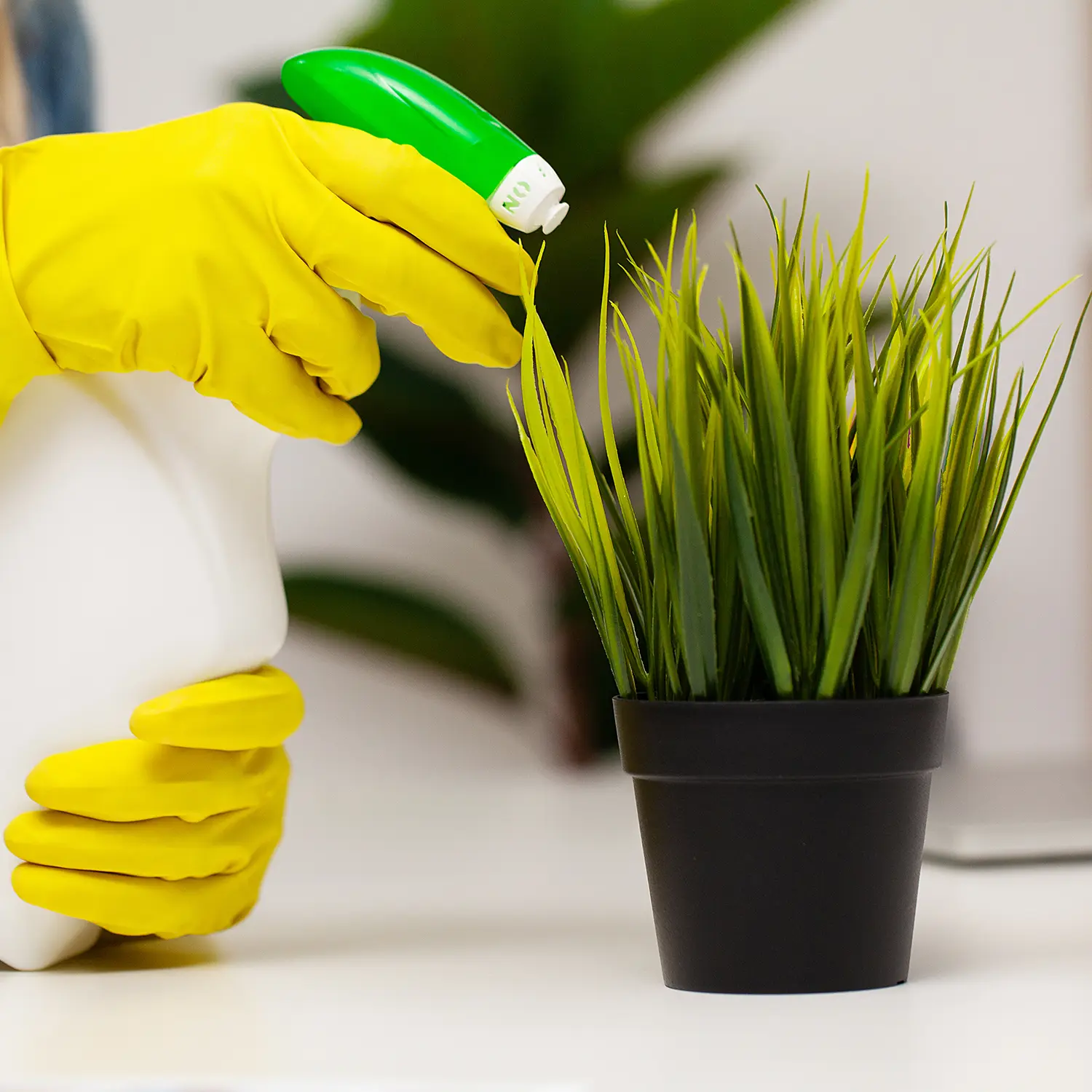 Green cleaning