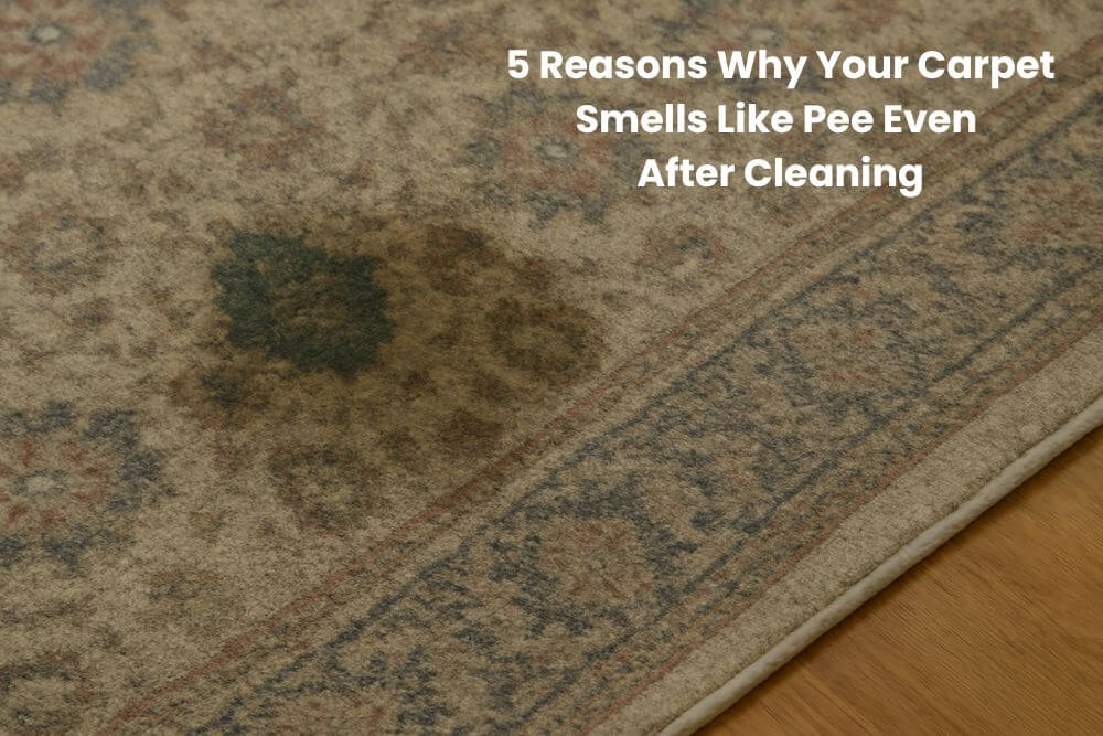 Carpet smells like pee after cleaning